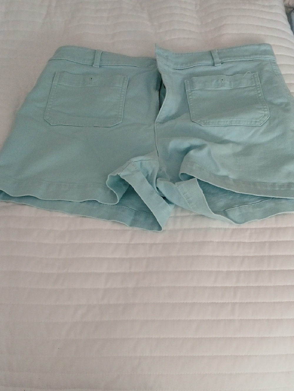 Women’s Light Aqua Casual Shorts